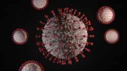 Coronavirus informatie